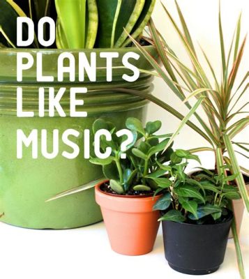 What Music Helps Plants Grow: A Multi-faceted Perspective